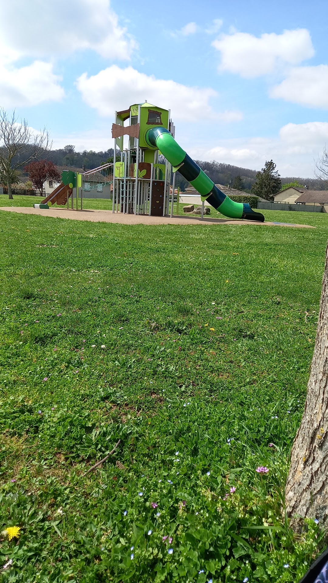 Photo n° 1 de l'avis de rose.e fait le 18/04/2023 à 11:50