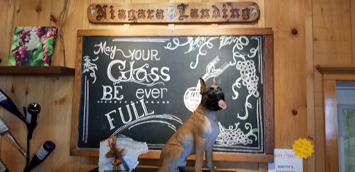 Winery «Niagara Landing Wine Cellars», reviews and photos, 4434 Van Dusen Rd, Lockport, NY 14094, USA