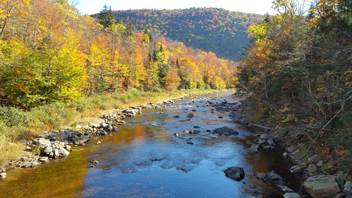 National Forest «Green Mountain and Finger Lakes National Forests», reviews and photos, 231 N Main St, Rutland, VT 05701, USA