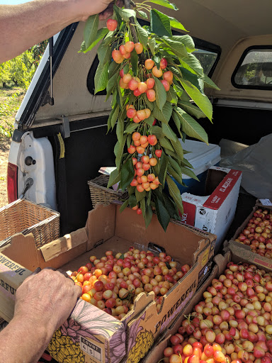 Produce Market «B&P Hitz Fruit Farm (Apples N Produce)», reviews and photos, 14070 Wilco Hwy NE, Woodburn, OR 97071, USA