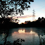 Photo n°10 de l'avis de ste.o fait le 16/06/2017 à 23:42 sur le  Trattoria Boscaccio à Settimo Milanese