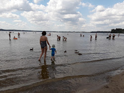 Foto di Strandbad Muggelsee - luogo popolare tra gli intenditori del relax