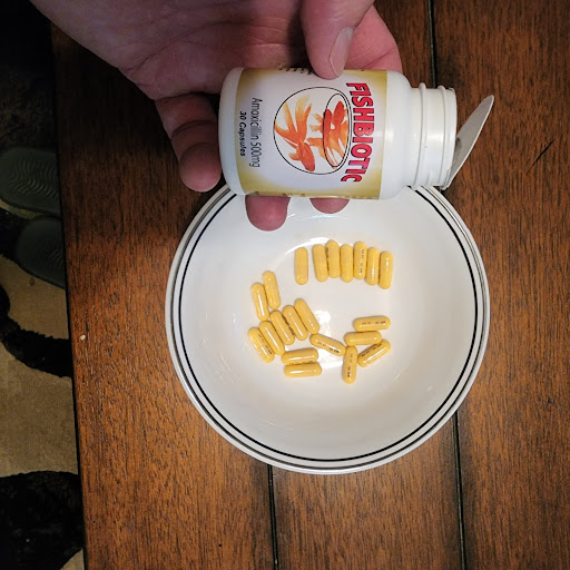 Pet Supply Store «Big Tex Feed & Pet Supply», reviews and photos, 7102 Cullen Blvd, Houston, TX 77021, USA