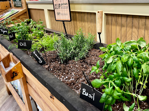 Grocery Store «Lowes Foods on Strickland Road», reviews and photos, 9600 Strickland Rd, Raleigh, NC 27615, USA