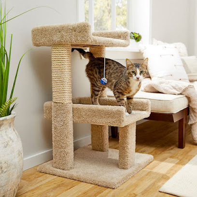 Cattitude Creations Custom Cat Trees Scratching Posts And Pet Furniture