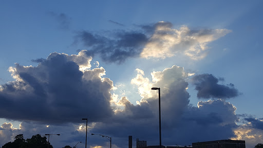 Wine Store «Andersonville Wine & Spirits», reviews and photos, 5201 N Clark St, Chicago, IL 60640, USA