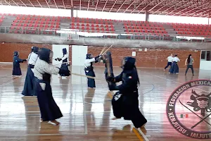 Federación Mexicana de Kobudo, Kendo y Gekkiken Escuela de Artes Marciales en México image