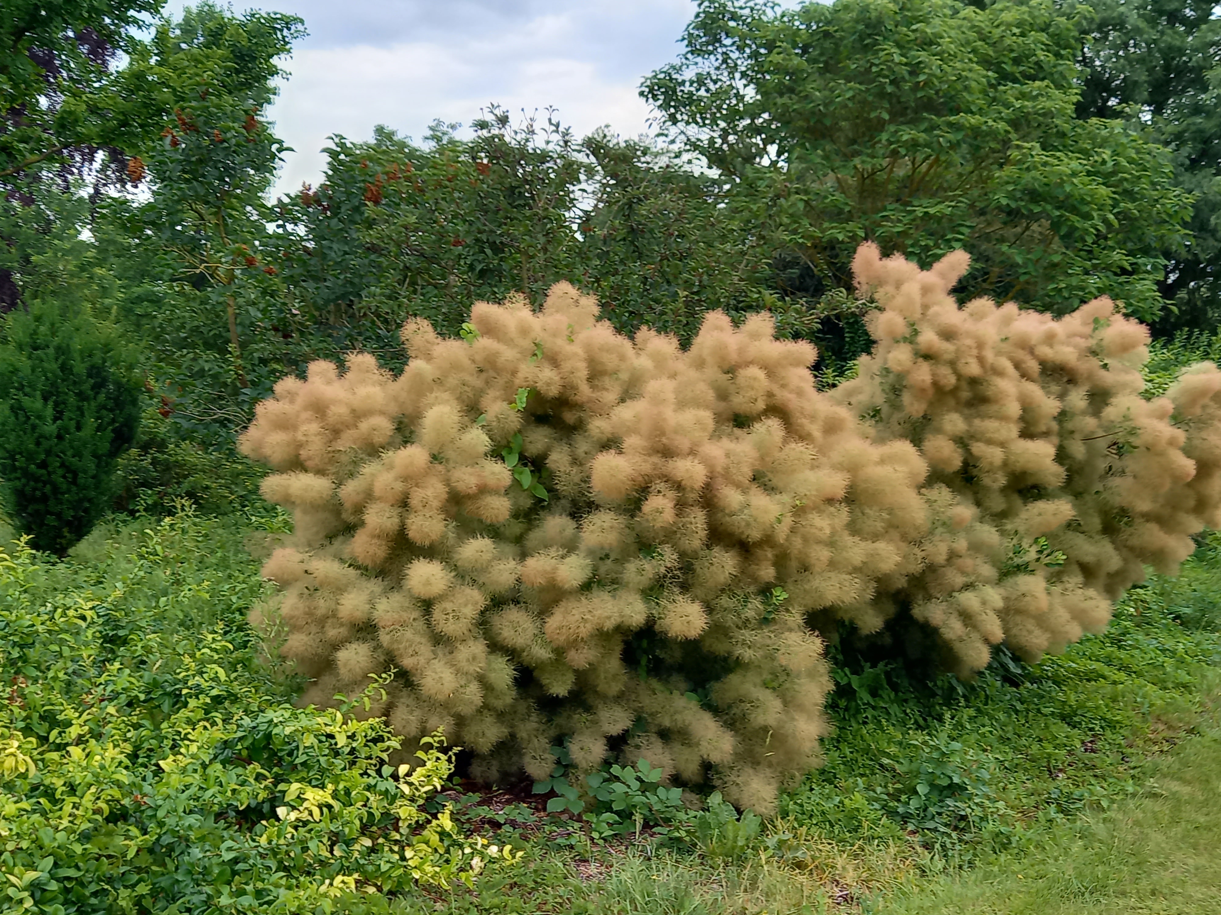 Photo n° 44 de l'avis de helene.a fait le 18/06/2023 à 13:16