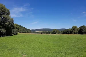 Hessischer Spessart Nature Park image