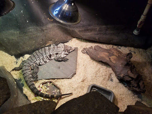 Pet Store «Pets World», reviews and photos, 147 Bridge St, Weymouth, MA 02191, USA