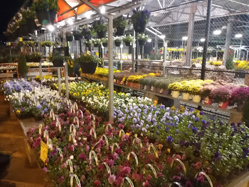 Home Improvement Store «The Home Depot», reviews and photos, 7399 Douglas Blvd, Douglasville, GA 30135, USA