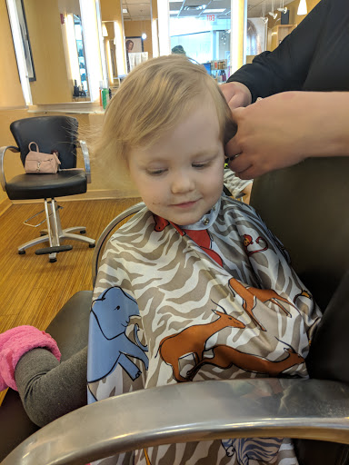 Hair Salon «Regis Salon», reviews and photos, 4444 1st Ave NE #60, Cedar Rapids, IA 52402, USA