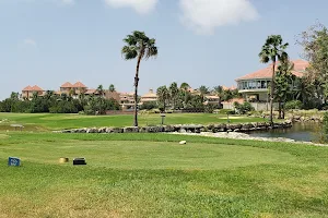 The Links at Divi Aruba Golf Course image