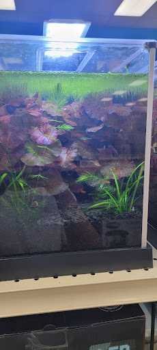 Pet Supply Store «Pet Supermarket», reviews and photos, 835 Blanding Blvd, Orange Park, FL 32065, USA