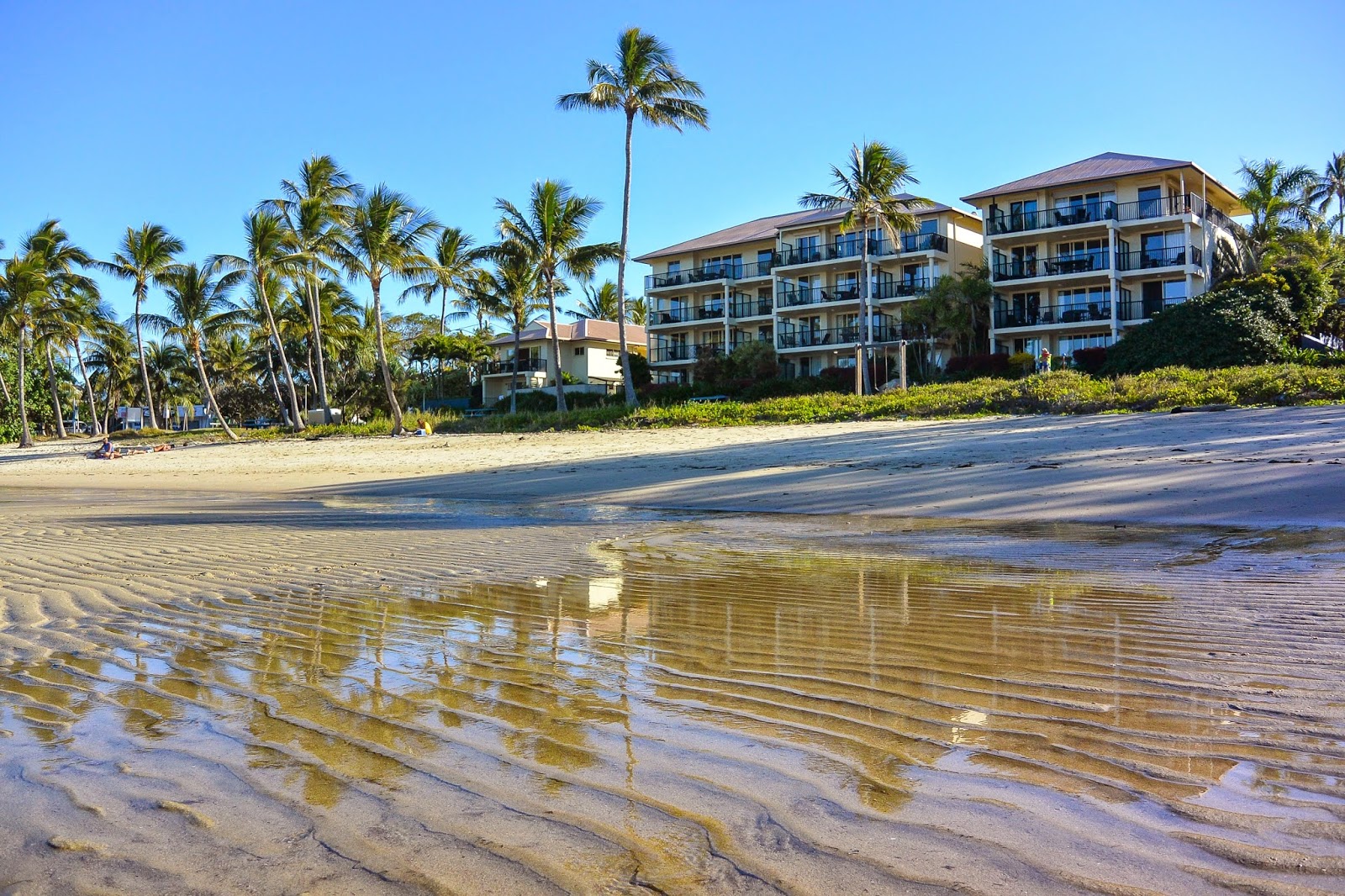 Photo de Rose Bay Beach zone sauvage