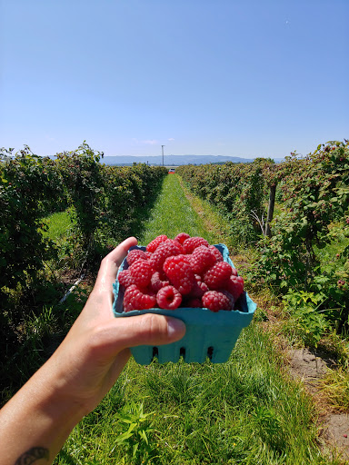 Columbia Farms U-Pick