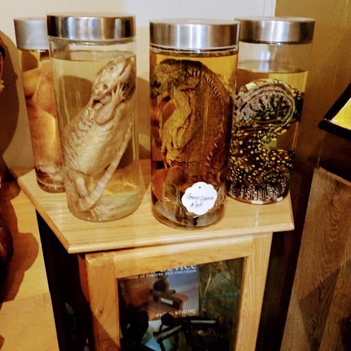 Explore steelers tattoo ideas, creative tattoo ideas in Muncie, available at Obscura Tattoo shop and Oddity Collective