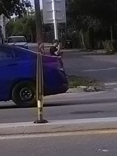 Dollar Store «Dollar Tree», reviews and photos, 9055 Biscayne Blvd, Miami Shores, FL 33138, USA