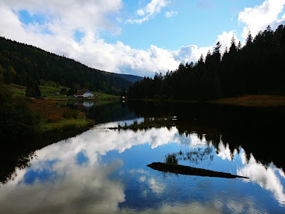 sourcier Bleu comme l'Eau à Selles