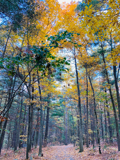 Park «Ghiloni Park», reviews and photos, 239 Concord Rd, Marlborough, MA 01752, USA