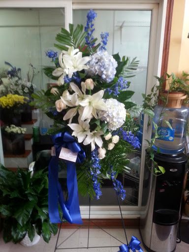 Florist «The Flower Pot & Basket Shop», reviews and photos, 5631 W Madison St, Chicago, IL 60644, USA