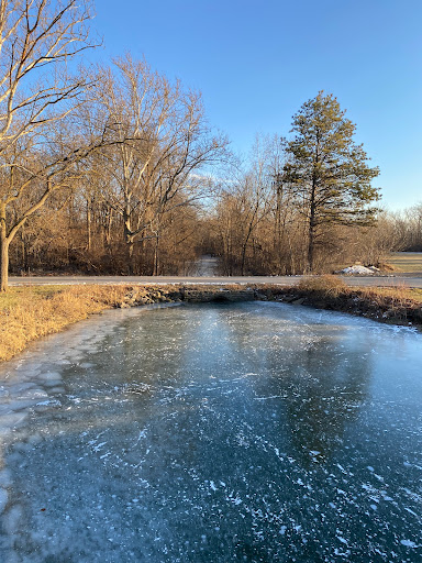 Park «Wayne County Parks & Rec», reviews and photos, 33175 Ann Arbor Trail, Westland, MI 48185, USA