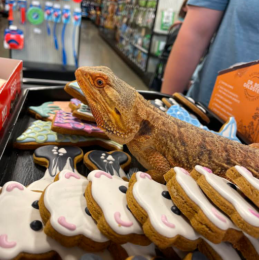 Pet Store «Choice Pet Market», reviews and photos, 4719 N 20th St A30, Phoenix, AZ 85016, USA