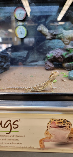 Pet Supply Store «Petco Animal Supplies», reviews and photos, 1945 W Palmetto St #250, Florence, SC 29501, USA