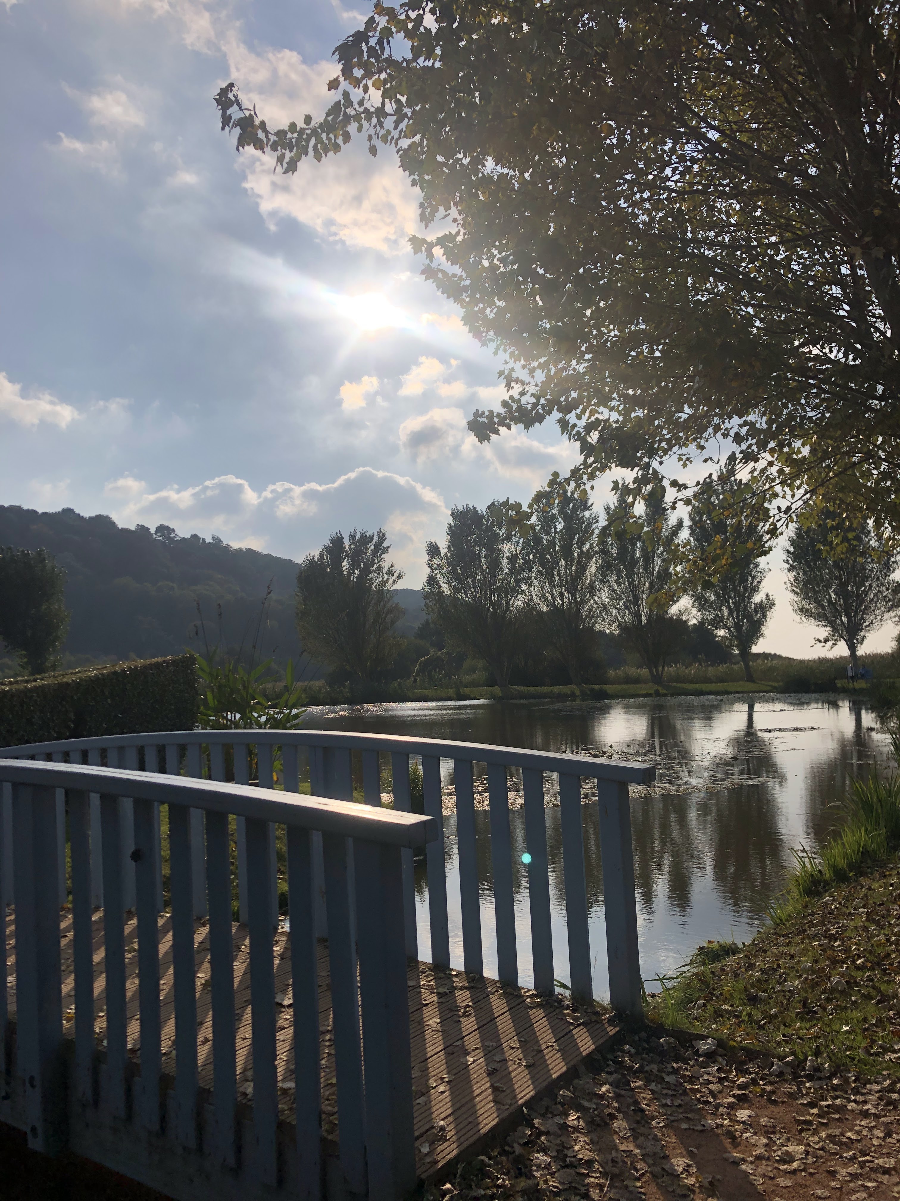 Photo n° 1 de l'avis de S. fait le 11/10/2021 à 01:46