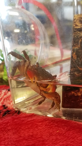 Pet Supply Store «PetSmart», reviews and photos, 3111 111th St, Naperville, IL 60564, USA