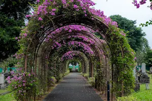 Japanese Cemetery Park image