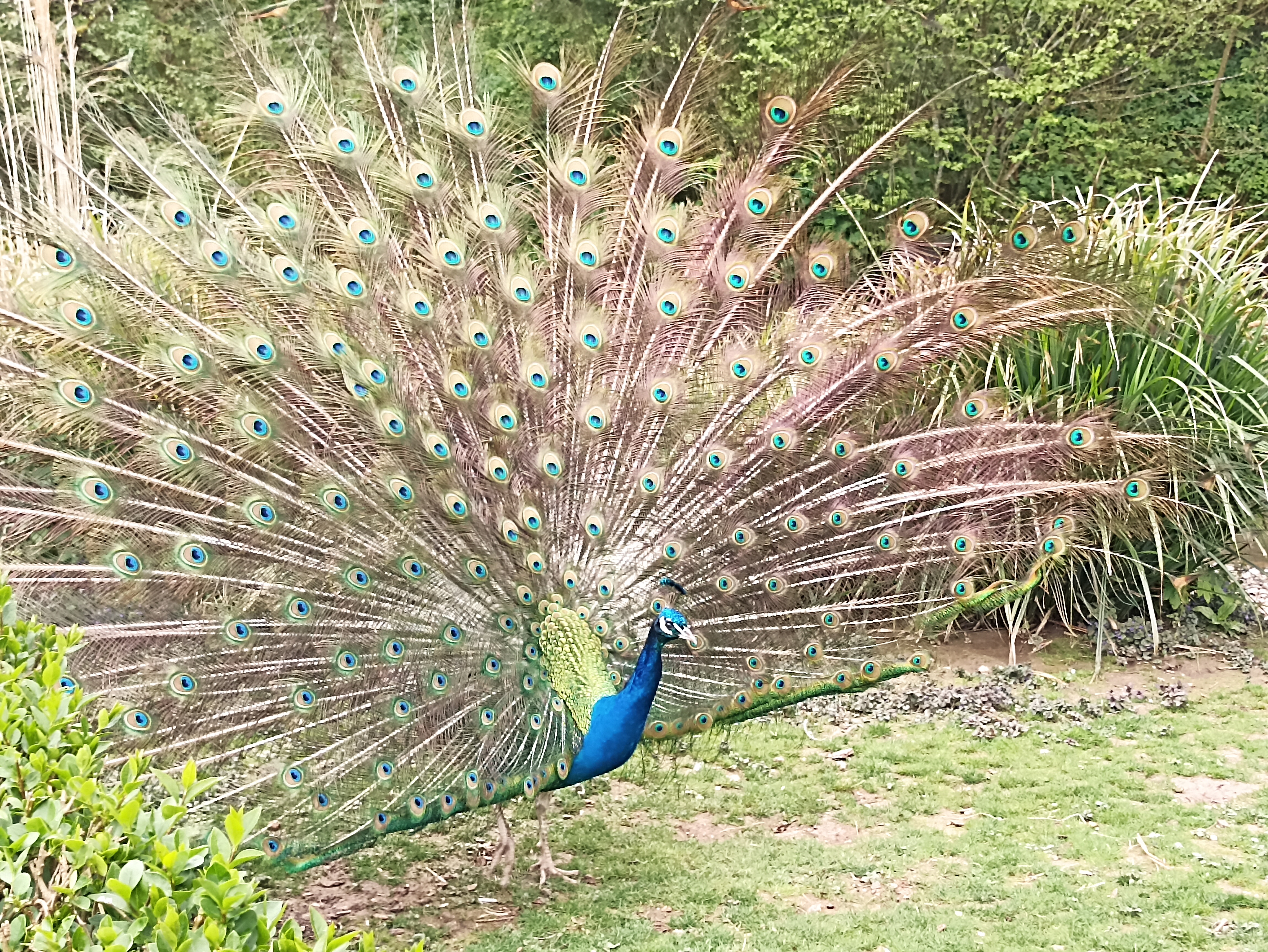 Photo n° 8 de l'avis de INGRID.. fait le 01/05/2023 à 21:03