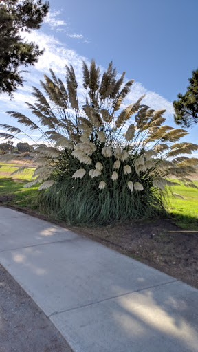 Golf Club «Golf Club Moffett Field», reviews and photos, 934 Macon Dr, Mountain View, CA 94043, USA