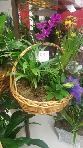 Florist «Sunfresh Flower Mart», reviews and photos, 14507 Hawthorne Blvd, Lawndale, CA 90260, USA