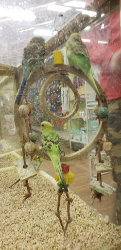 Pet Supply Store «Pet Supermarket», reviews and photos, 150 W Lowry Ln #180, Lexington, KY 40503, USA