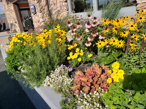 Auto Body Shop «Thomas Auto Body & Collision», reviews and photos, 5170 W Broadway Ave, Minneapolis, MN 55429, USA