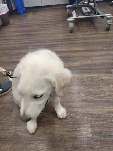 Pet Supply Store «Pet Supplies Plus», reviews and photos, 120 Sara Way, Belle Vernon, PA 15012, USA