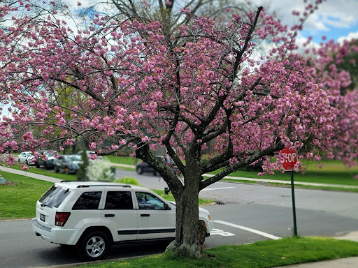 Park «Fort Totten Park», reviews and photos, Totten Ave & 15 Rd, Bayside, NY 11359, USA