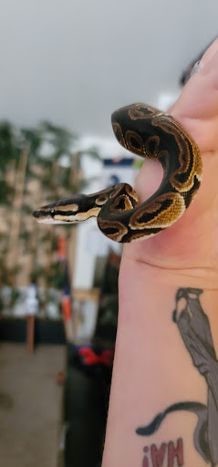 Pet Supply Store «Petco Animal Supplies», reviews and photos, 891 NE D St, Grants Pass, OR 97526, USA