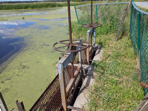 National Reserve «Montezuma National Wildlife Refuge», reviews and photos, 3395 US-20, Seneca Falls, NY 13148, USA