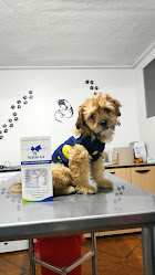 Consultorio Veterinario Healthy Pet-ec