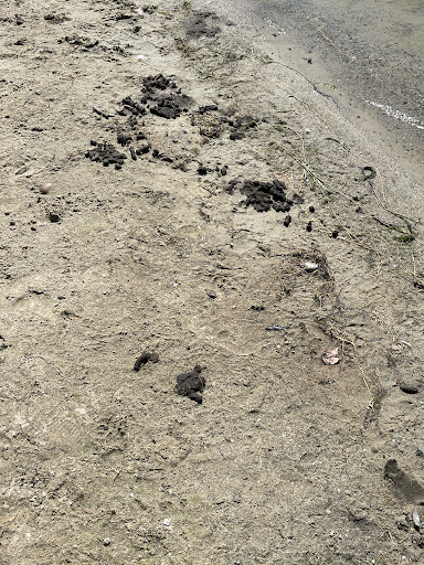 Playground «Varney Playground», reviews and photos, 45 Varney Ave, North Chelmsford, MA 01863, USA