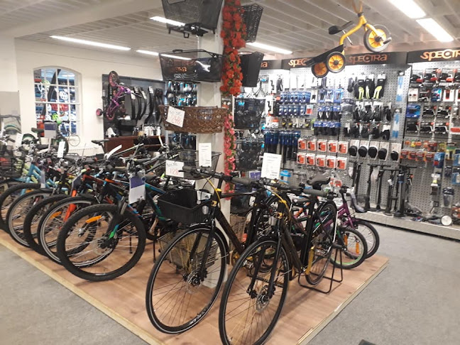 Tidsplan ligning betale sig 3 anmeldelser af Kuhlmann Fritid & Cykler (Cykelbutik) i Odense (Syddanmark)