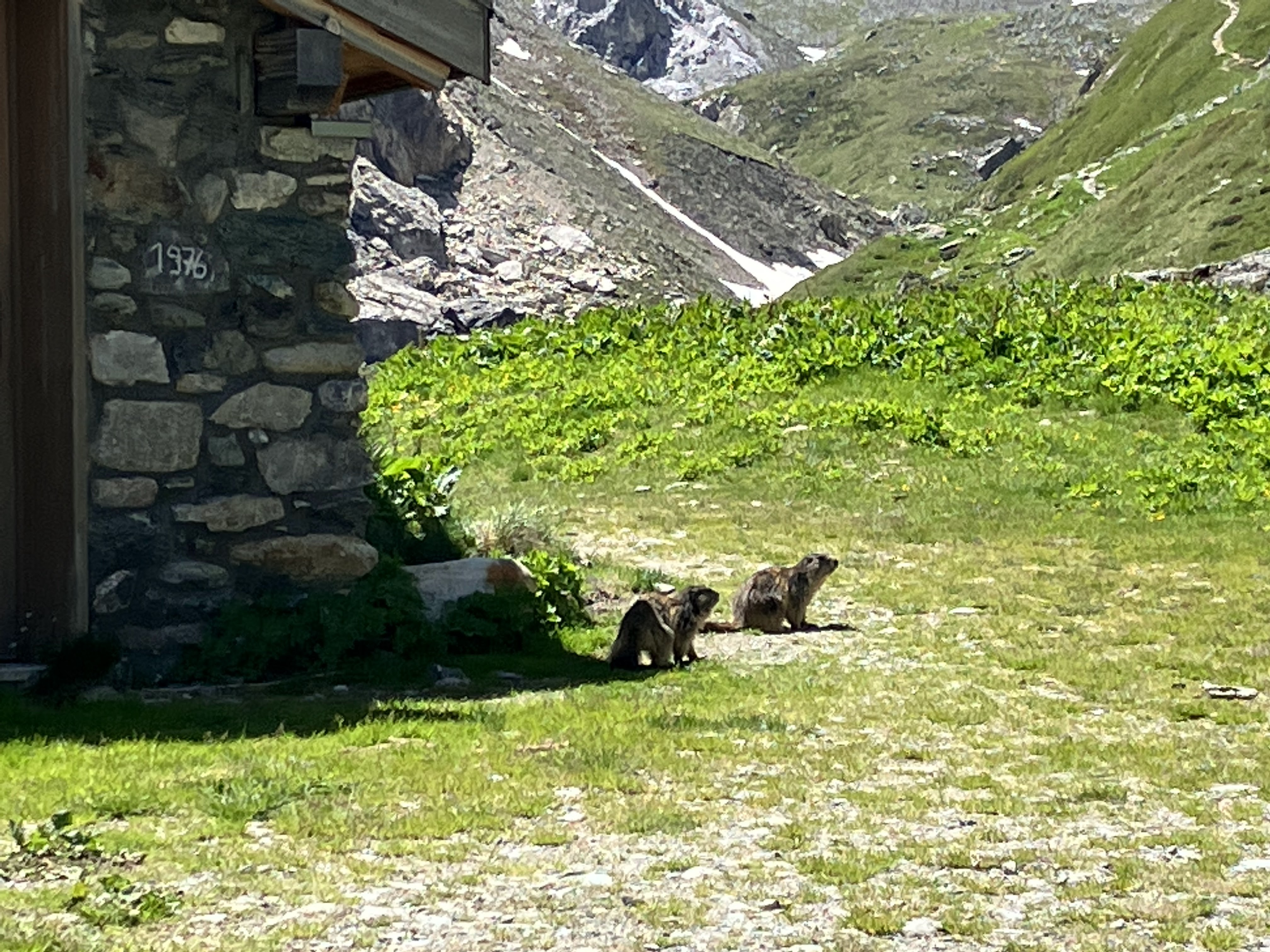 Photo n° 1 de l'avis de OLIVA.a fait le 12/06/2022 à 16:11