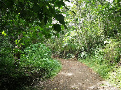 Parque Bicentenario San Salvador