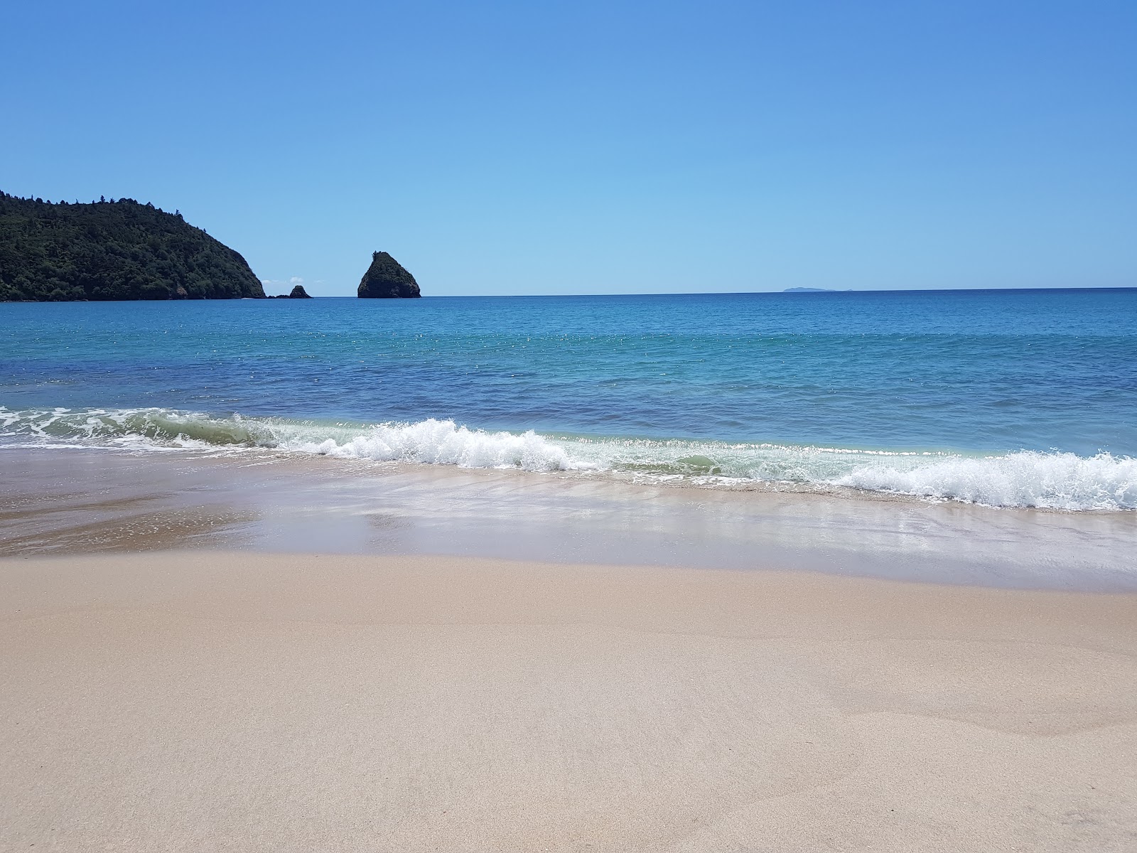 Foto von New Chums Beach und seine wunderschöne Landschaft