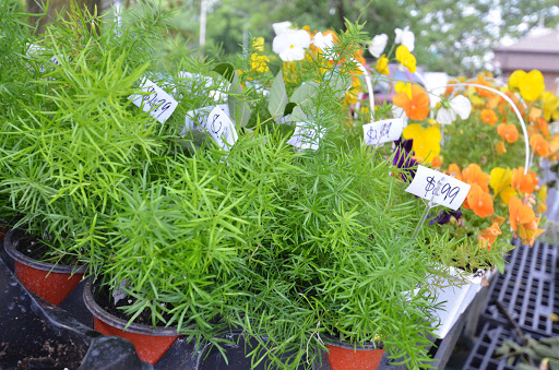 Florist «Flowerama Florist: Westerville», reviews and photos, 635 S State St, Westerville, OH 43081, USA