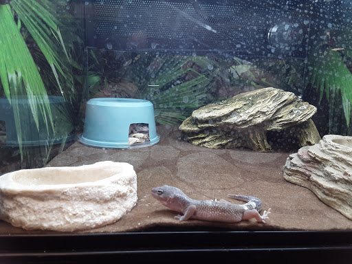 Pet Supply Store «PetSmart», reviews and photos, 5241 Monroe St, Toledo, OH 43623, USA