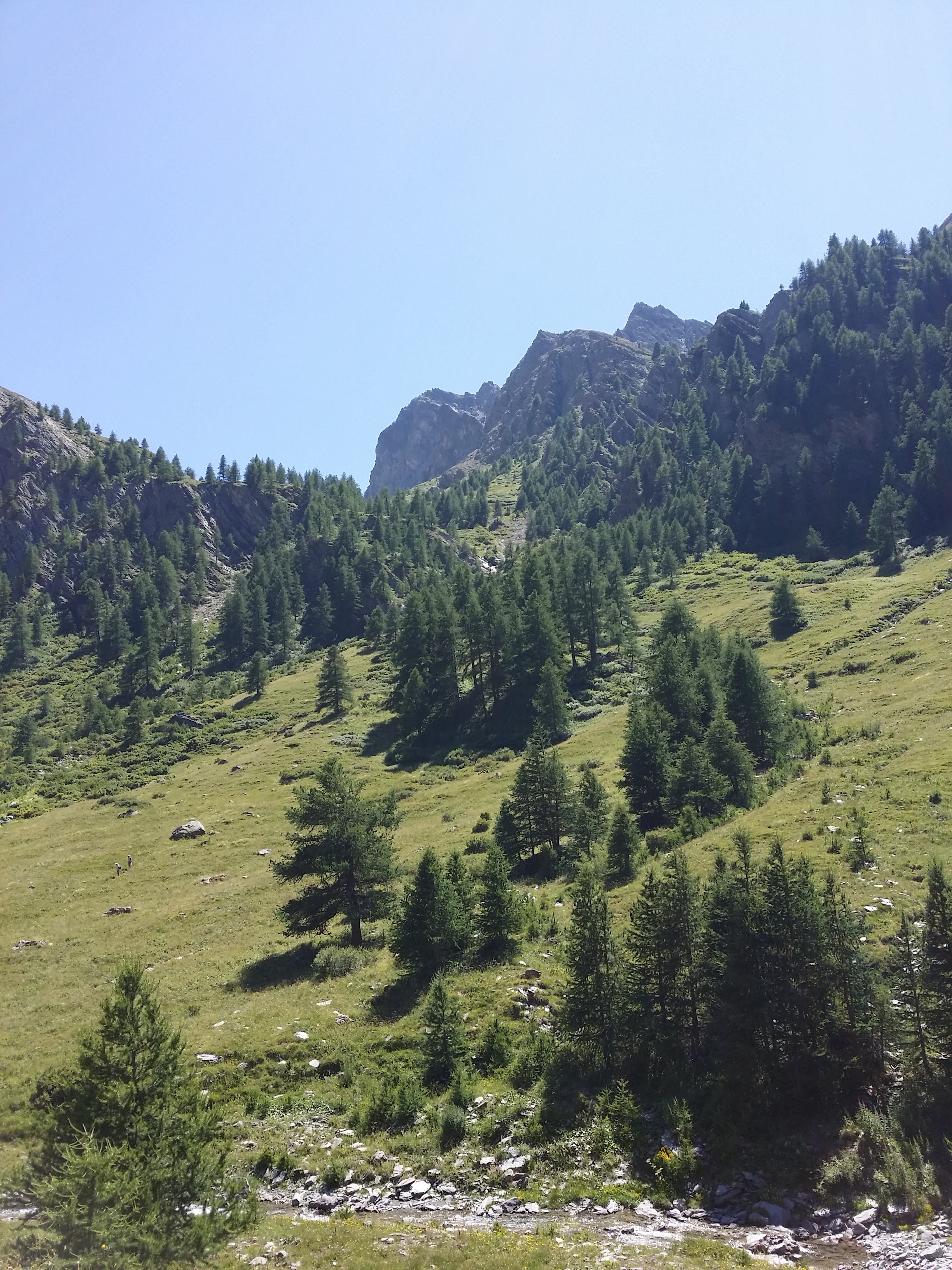 Photo n° 1 de l'avis de Hel.. fait le 29/07/2018 à 14:16