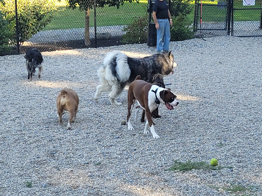 Dog Park «Danvers Dog Park», reviews and photos, 29 Ingersoll St, Danvers, MA 01923, USA